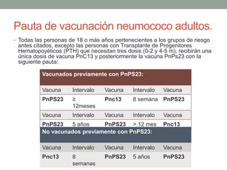 Pauta de vacunación neumococo adultos.
• Todas las personas de 18 o más años pertenecientes a los grupos de riesgo
antes citados, excepto las personas con Transplante de Progenitores
Hematopoyéticos (PTH) que necesitan tres dosis (0-2 y 4-5 m), recibirán una
única dosis de vacuna PnC13 y posteriormente la vacuna PnPs23 con la
siguiente pauta:
Vacunados previamente con PnPS23:
Vacuna Intervalo Vacuna Intervalo Vacuna
PnPS23 ≥
12meses
Pnc13 8 semana PnPS23
Vacuna Intervalo Vacuna Intervalo Vacuna
PnPS23 5 años PnPS23 > 12 mes Pnc13
No vacunados previamente con PnPS23:
Vacuna Intervalo Vacuna Intervalo Vacuna
Pnc13 8
semanas
PnPS23 5 años PnPS23
 