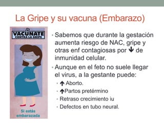 La Gripe y su vacuna (Embarazo)
• Sabemos que durante la gestación
aumenta riesgo de NAC, gripe y
otras enf contagiosas por  de
inmunidad celular.
• Aunque en el feto no suele llegar
el virus, a la gestante puede:
•  Aborto.
• Partos pretérmino
• Retraso crecimiento iu
• Defectos en tubo neural.
 
