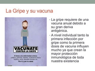 La Gripe y su vacuna
• La gripe requiere de una
vacuna anual debido a
su gran deriva
antigénica.
• A nivel individual tanto la
primera infección por
gripe como la primera
dosis de vacuna influyen
mucho ya que crean la
mayor protección
inmunológica de toda
nuestra existencia
 