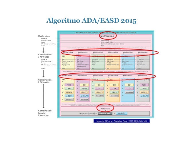 Actualización en diabetes 2016 Actualización en diabetes 2016
