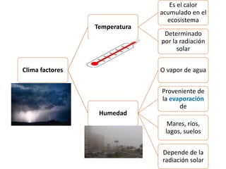 Clima factores
Temperatura
Es el calor
acumulado en el
ecosistema
Determinado
por la radiación
solar
Humedad
O vapor de agua
Proveniente de
la evaporación
de
Mares, ríos,
lagos, suelos
Depende de la
radiación solar
 