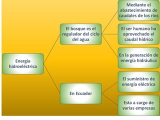 Energía
hidroeléctrica
El bosque es el
regulador del ciclo
del agua
Mediante el
abastecimiento de
caudales de los ríos
El ser humano ha
aprovechado el
caudal hídrico
En la generación de
energía hidráulica
En Ecuador
El suministro de
energía eléctrica
Esta a cargo de
varias empresas
 
