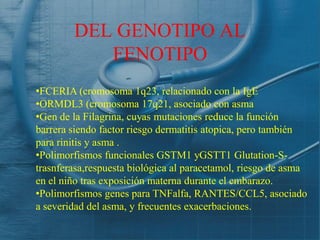 DEL GENOTIPO AL
           FENOTIPO
•FCERIA (cromosoma 1q23, relacionado con la IgE
•ORMDL3 (cromosoma 17q21, asociado con asma
•Gen de la Filagrina, cuyas mutaciones reduce la función
barrera siendo factor riesgo dermatitis atopica, pero también
para rinitis y asma .
•Polimorfismos funcionales GSTM1 yGSTT1 Glutation-S-
trasnferasa,respuesta biológica al paracetamol, riesgo de asma
en el niño tras exposición materna durante el embarazo.
•Polimorfismos genes para TNFalfa, RANTES/CCL5, asociado
a severidad del asma, y frecuentes exacerbaciones.
 