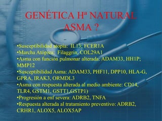 GENÉTICA Hª NATURAL
         ASMA ?
•Susceptibilidad atopia: IL13; FCER1A
•Marcha Atópica: Filaggrin, COL29A1
•Asma con función pulmonar alterada: ADAM33, HH1P;
MMP12
•Susceptibilidad Asma: ADAM33, PHF11, DPP10, HLA-G,
GPRA, IRAK3, ORMDL3
•Asma con respuesta alterada al medio ambiente: CD14,
TLR4, GSTM1, GSTT1,GSTP1)
•Progresión a enf severa: ADRB2, TNFA
•Respuesta alterada al tratamiento preventivo: ADRB2,
CRHR1, ALOX5, ALOX5AP
 