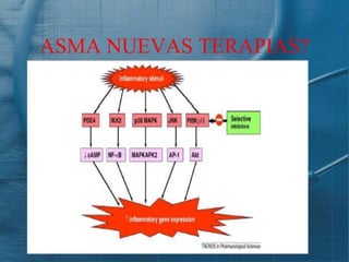 ASMA NUEVAS TERAPIAS?
 