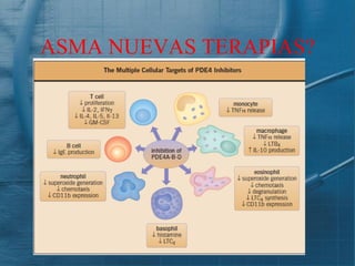 ASMA NUEVAS TERAPIAS?
 