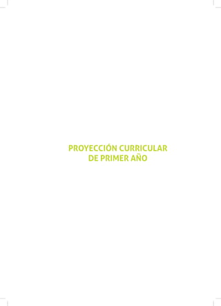 PROYECCIÓN CURRICULAR
DE PRIMER AÑO
 