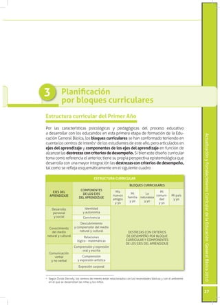 ActualizaciónyFortalecimientoCurriculardelaEducaciónGeneralBásica2010
27
Planificación
por bloques curriculares
3
Estructura curricular del Primer Año
Por las características psicológicas y pedagógicas del proceso educativo
a desarrollar con los educandos en esta primera etapa de formación de la Edu-
cación General Básica, los bloques curriculares se han conformado teniendo en
cuenta los centros de interés4
de los estudiantes de este año, pero articulados en
ejes del aprendizaje y componentes de los ejes del aprendizaje en función de
alcanzar las destrezasconcriteriosdedesempeño. Si bien este diseño curricular
toma como referencia el anterior, tiene su propia perspectiva epistemológica que
desarrolla con una mayor integración las destrezas con criterios de desempeño,
tal como se refleja esquemáticamente en el siguiente cuadro:
4
	 Según Ovide Decroly, los centros de interés están relacionados con las necesidades básicas y con el ambiente
en el que se desarrollan las niñas y los niños.
ESTRUCTURA CURRICULAR
EJES DEL
APRENDIZAJE
COMPONENTES
DE LOS EJES
DEL APRENDIZAJE
BLOQUES CURRICULARES
Mis
nuevos
amigos
y yo
Mi
familia
y yo
La
naturaleza
y yo
Mi
comuni-
dad
y yo
Mi país
y yo
Desarrollo
personal
y social
Identidad
y autonomía
DESTREZAS CON CRITERIOS
DE DESEMPEÑO POR BLOQUE
CURRICULAR Y COMPONENTES
DE LOS EJES DEL APRENDIZAJE
Convivencia
Conocimiento
del medio
natural y cultural
Descubrimiento
y comprensión del medio
natural y cultural
Relaciones
lógico - matemáticas
Comunicación
verbal
y no verbal
Comprensión y expresión
oral y escrita
Comprensión
y expresión artística
Expresión corporal
 