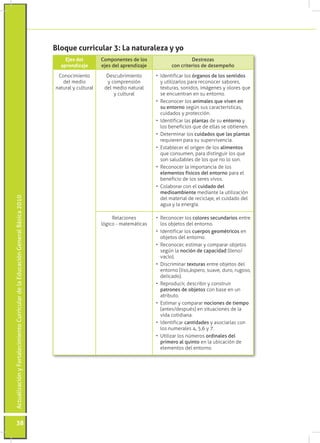 ActualizaciónyFortalecimientoCurriculardelaEducaciónGeneralBásica2010
38
Ejes del
aprendizaje
Componentes de los
ejes del aprendizaje
Destrezas
con criterios de desempeño
Conocimiento
del medio
natural y cultural
Descubrimiento
y comprensión
del medio natural
y cultural
•	 Identificar los órganos de los sentidos
y utilizarlos para reconocer sabores,
texturas, sonidos, imágenes y olores que
se encuentran en su entorno.
•	 Reconocer los animales que viven en
su entorno según sus características,
cuidados y protección.
•	 Identificar las plantas de su entorno y
los beneficios que de ellas se obtienen.
•	 Determinar los cuidados que las plantas
requieren para su supervivencia.
•	 Establecer el origen de los alimentos
que consumen, para distinguir los que
son saludables de los que no lo son.
•	 Reconocer la importancia de los
elementos físicos del entorno para el
beneficio de los seres vivos.
•	 Colaborar con el cuidado del
medioambiente mediante la utilización
del material de reciclaje, el cuidado del
agua y la energía.
Relaciones
lógico - matemáticas
•	 Reconocer los colores secundarios entre
los objetos del entorno.
•	 Identificar los cuerpos geométricos en
objetos del entorno.
•	 Reconocer, estimar y comparar objetos
según la noción de capacidad (lleno/
vacío).
•	 Discriminar texturas entre objetos del
entorno (liso,áspero, suave, duro, rugoso,
delicado).
•	 Reproducir, describir y construir
patrones de objetos con base en un
atributo.
•	 Estimar y comparar nociones de tiempo
(antes/después) en situaciones de la
vida cotidiana.
•	 Identificar cantidades y asociarlas con
los numerales 4, 5,6 y 7.
•	 Utilizar los números ordinales del
primero al quinto en la ubicación de
elementos del entorno.
Bloque curricular 3: La naturaleza y yo
 