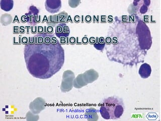 José Antonio Castellano del Toro
FIR-1 Análisis Clínicos
H.U.G.C.D.N.
Agradecimientos a:
 