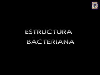 ESTRUCTURA
BACTERIANA
 