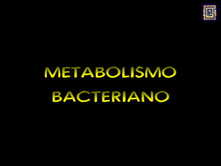 METABOLISMO
BACTERIANO
 