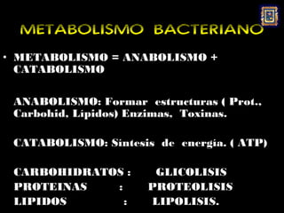 METABOLISMO BACTERIANO
• METABOLISMO = ANABOLISMO +
  CATABOLISMO

 ANABOLISMO: Formar estructuras ( Prot.,
 Carbohid, Lípidos) Enzimas, Toxinas.

 CATABOLISMO: Síntesis de energía. ( ATP)

 CARBOHIDRATOS :       GLICOLISIS
 PROTEINAS   :        PROTEOLISIS
 LIPIDOS       :      LIPOLISIS.
 