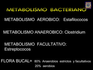 METABOLISMO BACTERIANO
 METABOLISMO AEROBICO: Estafilococos


METABOLISMO ANAEROBICO: Clostridium

 METABOLISMO FACULTATIVO:
 Estreptococos

FLORA BUCAL=   80% Anaerobios estrictos y facultativos
               20% aerobios
 
