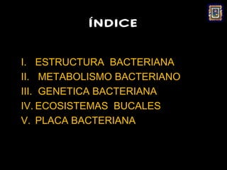 ÍNDICE

I. ESTRUCTURA BACTERIANA
II. METABOLISMO BACTERIANO
III. GENETICA BACTERIANA
IV. ECOSISTEMAS BUCALES
V. PLACA BACTERIANA
 