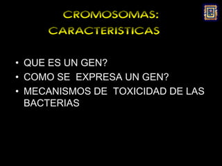 CROMOSOMAS:
     CARACTERISTICAS

• QUE ES UN GEN?
• COMO SE EXPRESA UN GEN?
• MECANISMOS DE TOXICIDAD DE LAS
  BACTERIAS
 