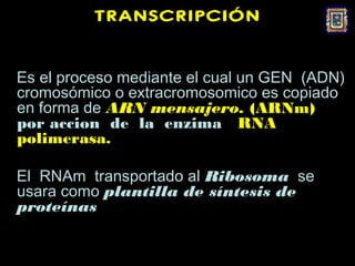 TRANSCRIPCIÓN


Es el proceso mediante el cual un GEN (ADN)
cromosómico o extracromosomico es copiado
en forma de ARN mensajero. (ARNm)
por accion de la enzima RNA
polimerasa.

El RNAm transportado al Ribosoma se
usara como plantilla de síntesis de
proteínas
 