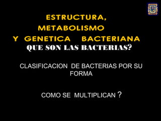 ESTRUCTURA,
    METABOLISMO
Y GENETICA BACTERIANA
  QUE SON LAS BACTERIAS?

 CLASIFICACION DE BACTERIAS POR SU
               FORMA


      COMO SE MULTIPLICAN ?
 