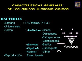 CARACTERÍSTICAS GENERALES
    DE LOS GRUPOS MICROBIOLÓGICOS


BACTERIAS
 -Tamaño          : 1-10 micras. (> 1-3 )
 -Unicelulares.
 -Forma            : -Esférica: -Cocos.
                                  -Diplococos.
                                  -Estreptococos.
                                  -Estafilococos.
                    -Bastón: -Bacilos
                    -Espiral: -Espiroqueta
                    -Coma:        -Vibrio
 -Reproducción     : Fisión binaria
 
