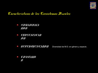 Características de los Ecosistemas Bucales

        VARIABILI
        DAD

        ESPECIFICID
        AD


        HETEROGENEIDAD        Diversidad de M.O. en género y especie.




        CANTIDA
        D
 