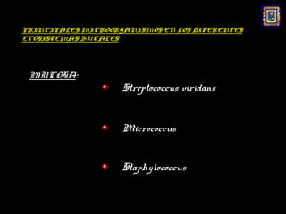 PRINCIPALES MICROORGANISMOS EN LOS DIFERENTES
ECOSISTEMAS BUCALES




 MUCOSA:
                    Streptococcus viridans


                    Micrococcus


                    Staphylococcus
 