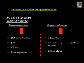 DETERMINANTES ECOLOGICOS ORALES:



B) FACTORES DE
ADHERENCIA:
 Elementos bacterianos       Receptores del huésped




   Dextranos y fructanos     Fibronectina

   GTF                       Proteínas      y     glucoproteínas
                             salivales
   Fimbrias
                             Cálculo Dental
   Residuos proteicos
 