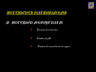SUCESIONES MICROBIANAS:

B. SUCESIÓN AUTOGÉNICA:
            Consumo de nutrientes.


            Cambios de pH.


            Cambios de concentración de oxígeno.
 