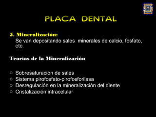 PLACA DENTAL
5. Mineralización:
  Se van depositando sales minerales de calcio, fosfato,
  etc.

Teorías de la Mineralización

o   Sobresaturación de sales
o   Sistema pirofosfato-pirofosforilasa
o   Desregulación en la mineralización del diente
o   Cristalización intracelular
 