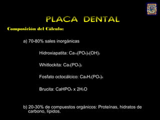 PLACA DENTAL
Composición del Cálculo:

      a) 70-80% sales inorgánicas

             Hidroxiapatita: Ca10(PO4)6(OH)2

             Whitlockita: Ca3(PO4)2

             Fosfato octocálcico: Ca8H2(PO4)6

             Brucita: CaHPO4 x 2H2O



      b) 20-30% de compuestos orgánicos: Proteínas, hidratos de
         carbono, lípidos.
 