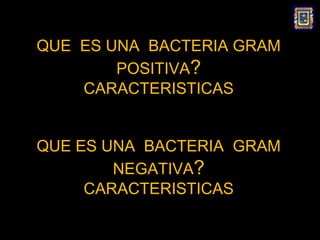 QUE ES UNA BACTERIA GRAM
        POSITIVA?
    CARACTERISTICAS


QUE ES UNA BACTERIA GRAM
        NEGATIVA?
     CARACTERISTICAS
 
