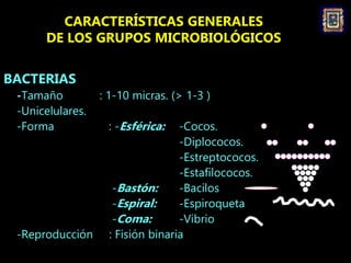CARACTERÍSTICAS GENERALES
DE LOS GRUPOS MICROBIOLÓGICOS
BACTERIAS
-Tamaño : 1-10 micras. (> 1-3 )
-Unicelulares.
-Forma : ...