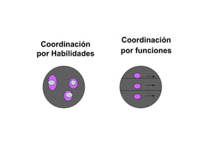 Coordinación por funciones Coordinación por Habilidades 