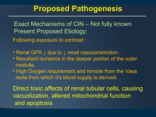 Proposed PathogenesisProposed Pathogenesis
Following exposure to contrast :
• Renal GFR ↓ due to ↓ renal vasoconstriction.
• Resultant Ischemia in the deeper portion of the outer
medulla.
• High Oxygen requirement and remote from the Vasa
recta from which it’s blood supply is derived.
Exact Mechanisms of CIN – Not fully known
Present Proposed Etiology:
Direct toxic affects of renal tubular cells, causing
vacuolization, altered mitochondrial function
and apoptosis
 