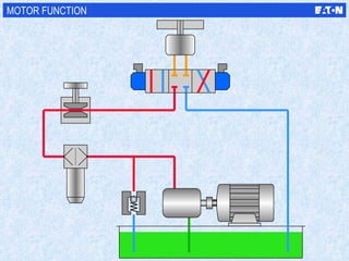 MOTOR FUNCTION 