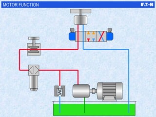 MOTOR FUNCTION 