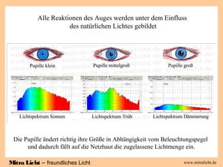 Mitra Licht – freundliches Licht www.mitralicht.de
Alle Reaktionen des Auges werden unter dem Einfluss
des natürlichen Lic...