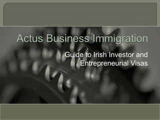 Guide to Irish Investor and
    Entrepreneurial Visas
 