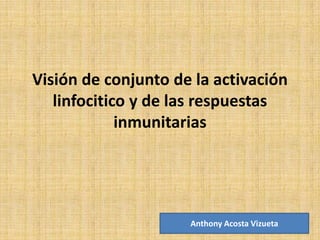Visión de conjunto de la activación
linfocitico y de las respuestas
inmunitarias

Anthony Acosta Vizueta

 