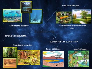 Ecosistema
Esta formado por
Ambiente que los rodea
y las relaciones que existen entre
ellos.
ELEMENTOS DEL ECOSISTEMA
Seres bióticosSeres abióticos
TIPOS DE ECOSISTEMA
Ecosistema terrestre
Ecosistema acuático
 
