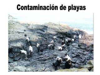 Contaminación de playas