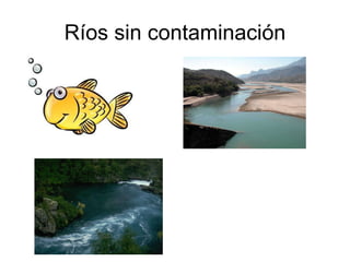 Ríos sin contaminación