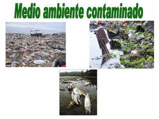 Medio ambiente contaminado