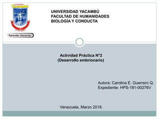 UNIVERSIDAD YACAMBÚ
FACULTAD DE HUMANIDADES
BIOLOGÍA Y CONDUCTA
Actividad Práctica N°2
(Desarrollo embrionario)
Autora: Carolina E. Guerrero Q.
Expediente: HPS-181-00276V
Venezuela, Marzo 2018.
 