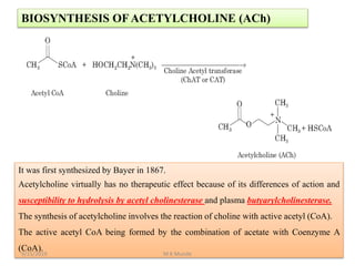 BIOSYNTHESIS OFACETYLCHOLINE (ACh)
It was first synthesized by Bayer in 1867.
Acetylcholine virtually has no therapeutic effect because of its differences of action and
susceptibility to hydrolysis by acetyl cholinesterase and plasma butyarylcholinesterase.
The synthesis of acetylcholine involves the reaction of choline with active acetyl (CoA).
The active acetyl CoA being formed by the combination of acetate with Coenzyme A
(CoA).
9/15/2019 M K Munde
 