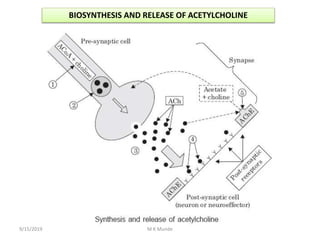 BIOSYNTHESIS AND RELEASE OF ACETYLCHOLINE
9/15/2019 M K Munde
 