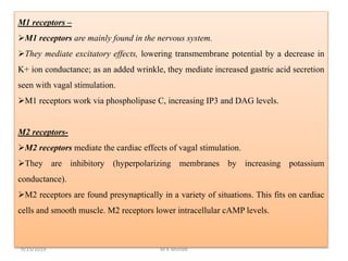 M1 receptors –
M1 receptors are mainly found in the nervous system.
They mediate excitatory effects, lowering transmembrane potential by a decrease in
K+ ion conductance; as an added wrinkle, they mediate increased gastric acid secretion
seen with vagal stimulation.
M1 receptors work via phospholipase C, increasing IP3 and DAG levels.
M2 receptors-
M2 receptors mediate the cardiac effects of vagal stimulation.
They are inhibitory (hyperpolarizing membranes by increasing potassium
conductance).
M2 receptors are found presynaptically in a variety of situations. This fits on cardiac
cells and smooth muscle. M2 receptors lower intracellular cAMP levels.
9/15/2019 M K Munde
 