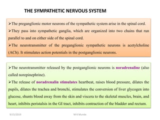 THE SYMPATHETIC NERVOUS SYSTEM
The preganglionic motor neurons of the sympathetic system arise in the spinal cord.
They pass into sympathetic ganglia, which are organized into two chains that run
parallel to and on either side of the spinal cord.
The neurotransmitter of the preganglionic sympathetic neurons is acetylcholine
(ACh). It stimulates action potentials in the postganglionic neurons.
The neurotransmitter released by the postganglionic neurons is noradrenaline (also
called norepinephrine).
The release of noradrenalin stimulates heartbeat, raises blood pressure, dilates the
pupils, dilates the trachea and bronchi, stimulates the conversion of liver glycogen into
glucose, shunts blood away from the skin and viscera to the skeletal muscles, brain, and
heart, inhibits peristalsis in the GI tract, inhibits contraction of the bladder and rectum.
9/15/2019 M K Munde
 
