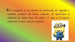 La acuaponía es un sistema de producción de vegetales y
animales acuáticos de forma conjunta. Al aprovechar la
simbiosis de ambos tipos de cultivo, el coste y el impacto
ambiental es menor que por separado.
 