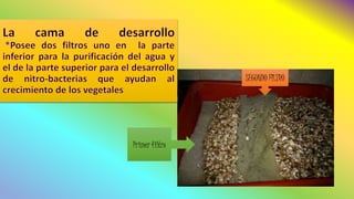 Primer filtro
SEGUNDO FILTRO
 