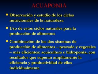 ACUAPONIA Observaci ón y estudio de los ciclos nutricionales de la naturaleza Uso de estos ciclos naturales para la producción de alimentos Combinación de los dos sistemas de producción de alimentos – pescado y vegetales – más eficientes: acuicultura e hidroponía, con resultados que superan ampliamente la eficiencia y productividad de ellos individualmente  